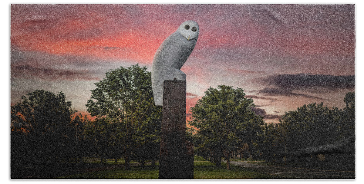 Owl Hand Towel featuring the photograph Belconnen Owl by Ari Rex