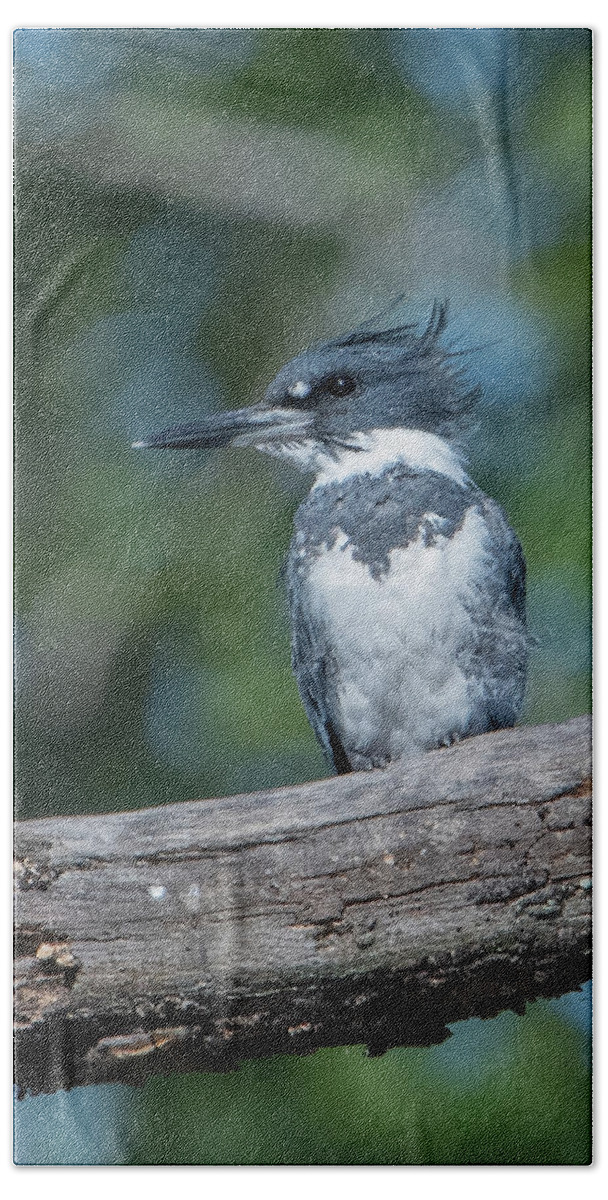 Nature Bath Towel featuring the photograph Belted Kingfisher DSB0380 by Gerry Gantt