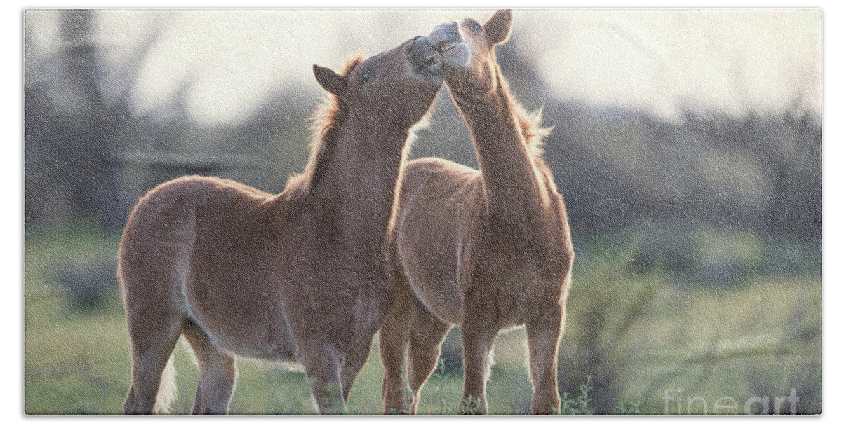 Foals Bath Towel featuring the photograph Best Buds by Shannon Hastings