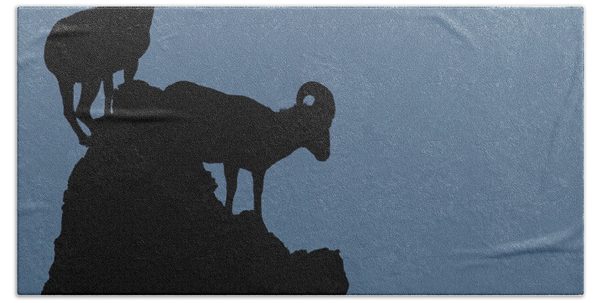 Big Horn Sheep Hand Towel featuring the photograph Big Horn Silhouette by Bob Falcone