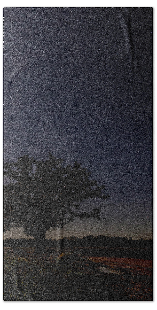 Big Oak Tree Hand Towel featuring the photograph Big Oak Tree Moonlight and Stars by Harold Rau