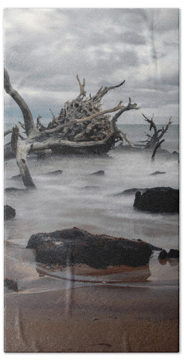 Driftwood Bath Towel featuring the photograph Big Talbot Island by Carolyn Hutchins