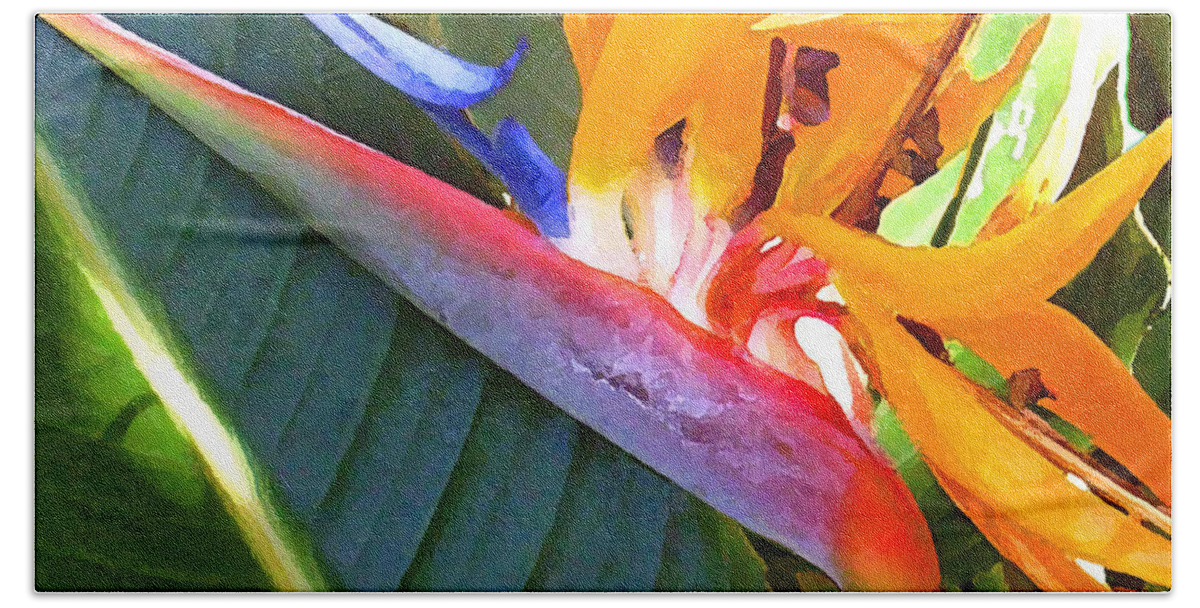 Hawaii Greeting Cards Bath Sheet featuring the photograph Bird of Paradise by James Temple