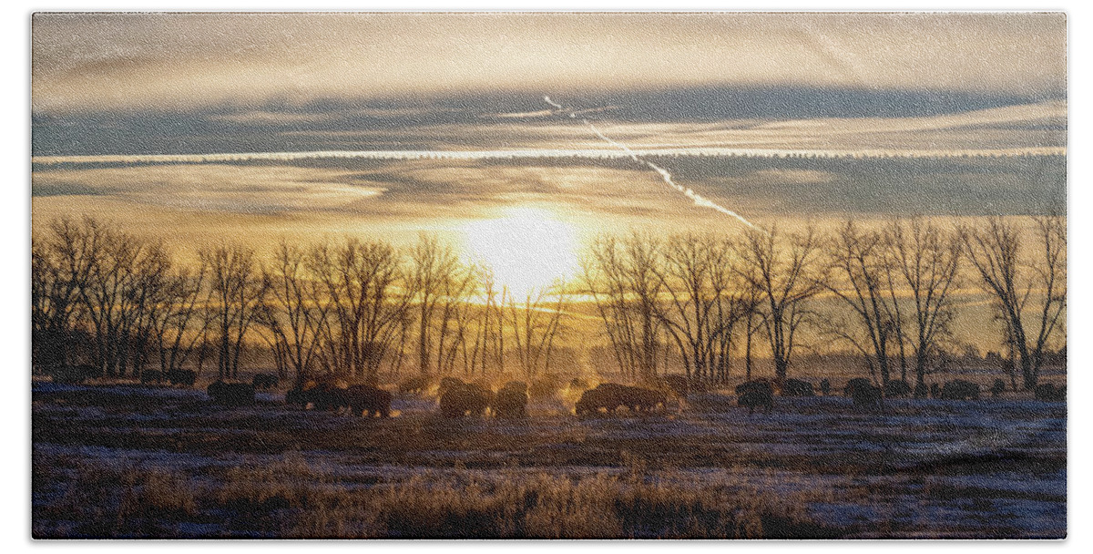 Bison Hand Towel featuring the photograph Bison at Sunrise on a Cold Morning on the Great Plains - Panorma by Tony Hake