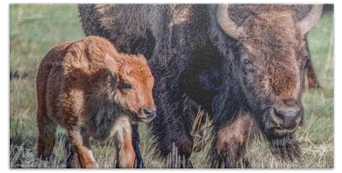 Yellowstone National Park Bath Towel featuring the photograph Bison Babies by Marcy Wielfaert