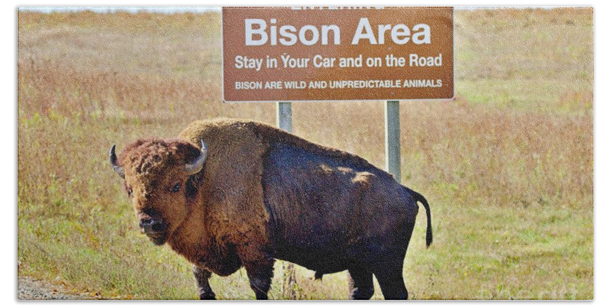 Bison Hand Towel featuring the photograph Bison, in Iowa by Yvonne M Smith