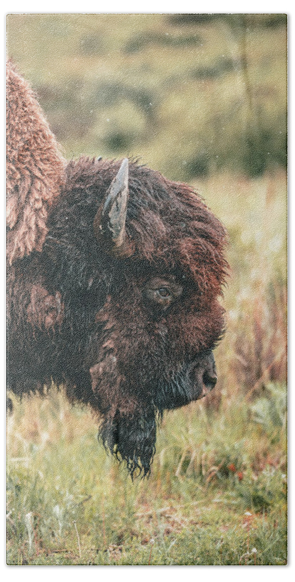  Hand Towel featuring the photograph Bison in Montana by William Boggs