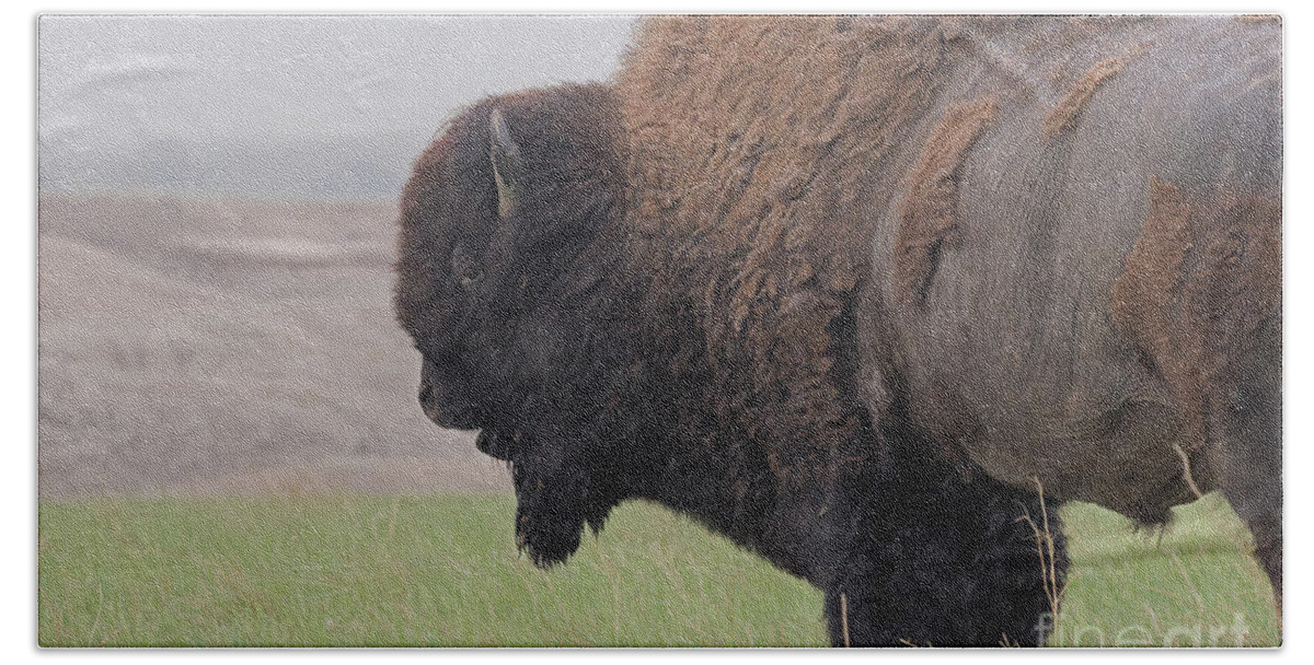 American Buffalo Bath Towel featuring the photograph Bison in the Rain by Natural Focal Point Photography