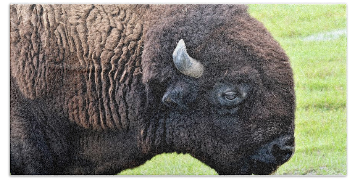 Bison Macro Bath Towel featuring the photograph Bison Macro by Warren Thompson