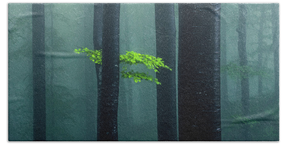 Mountain Hand Towel featuring the photograph Bit Of Green by Evgeni Dinev