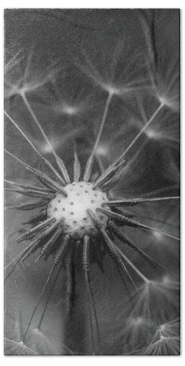 Mountain Hand Towel featuring the photograph Black and White Dandelion by Go and Flow Photos