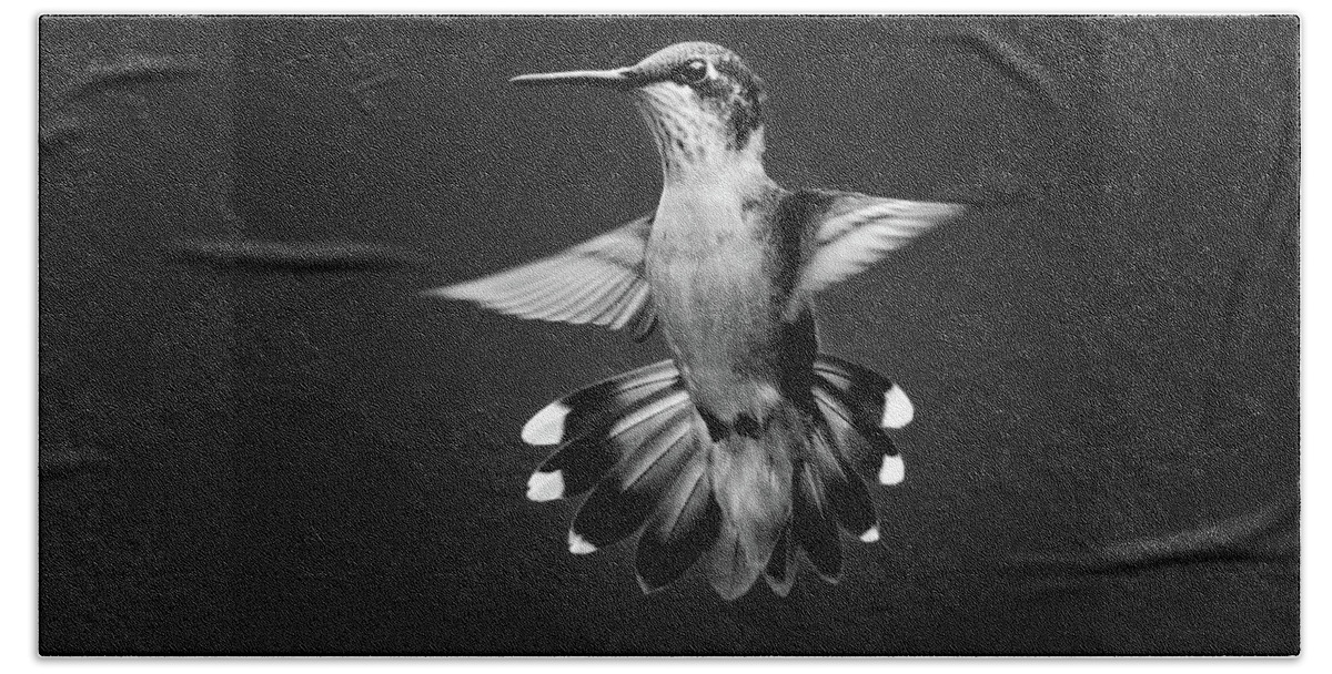 Hummingbird Bath Towel featuring the photograph Black And White Hummingbird by Christina Rollo