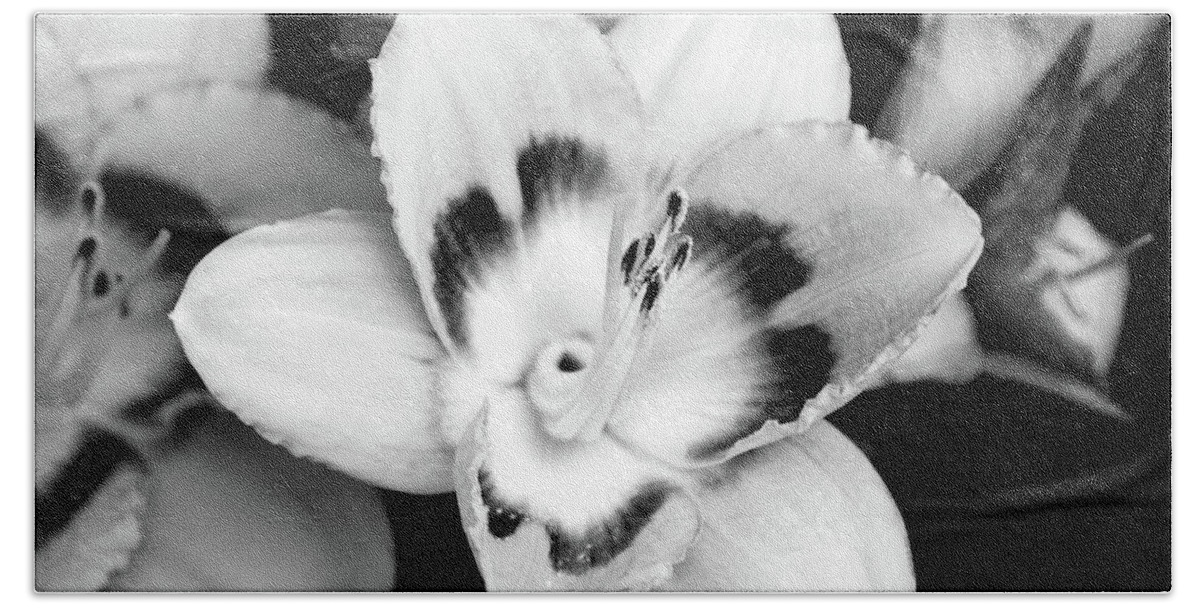 Flowers Bath Towel featuring the photograph Black and White Lily by Christina Rollo