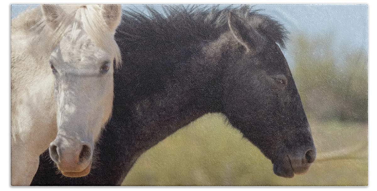 Wild Bath Towel featuring the photograph Black and White Wild Mustangs by Sylvia Goldkranz