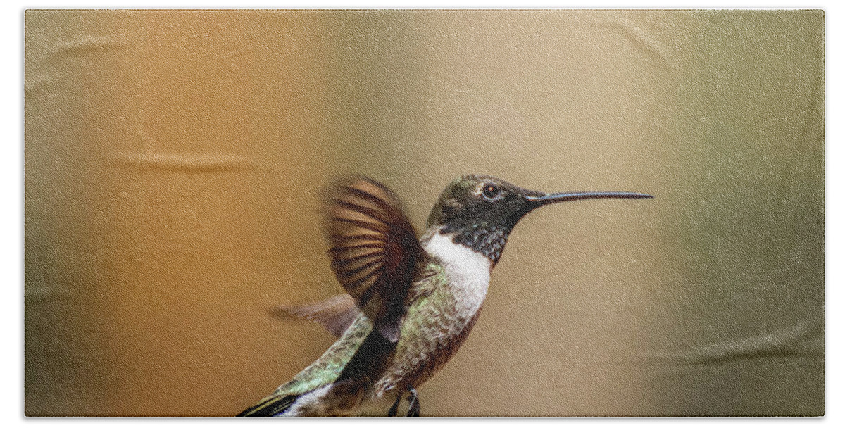 Arizona Hand Towel featuring the photograph Black Chinned Hummingbird in Flight 2 by Dawn Richards