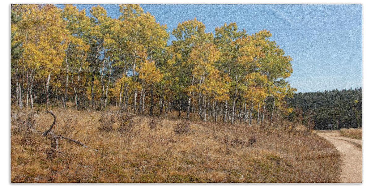 Golden Leaves Bath Towel featuring the photograph Black Hills Aspens Golden Color by Cathy Anderson