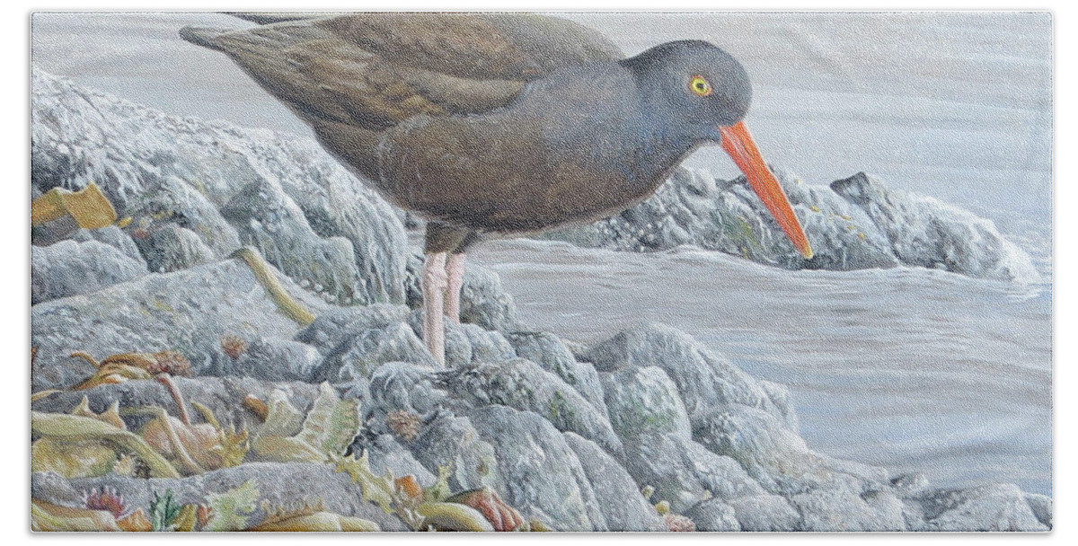 Black Oystercatcher Hand Towel featuring the painting Black Oystercatcher by Barry Kent MacKay