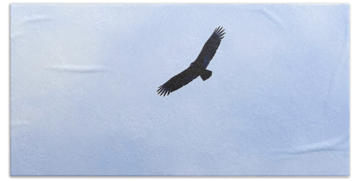 Black Vulture Bath Towel featuring the photograph Black Vulture In Flight 01 by Flees Photos