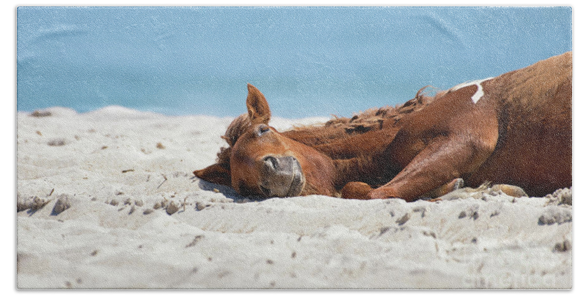 Horse Hand Towel featuring the photograph Bliss - Catching some sun by Rehna George
