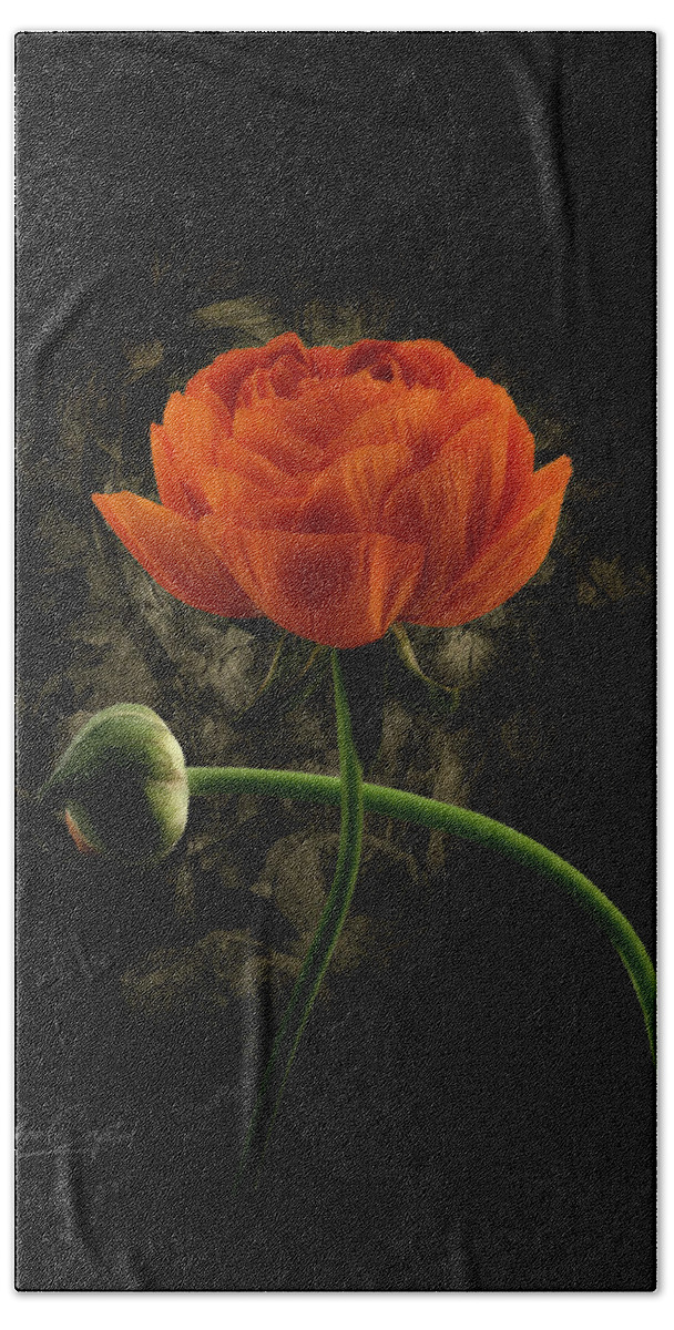 Orange Hand Towel featuring the photograph Bloomin' Orange by Rene Crystal