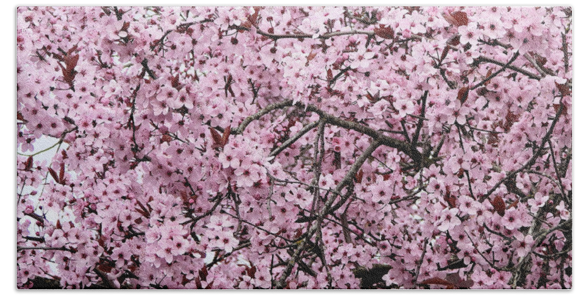 Cherry Blossoms Bath Towel featuring the photograph Blooming Japanese Cherry Tree by Scott Cameron