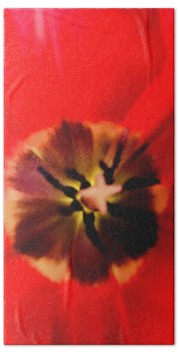 Photography Bath Towel featuring the photograph Blooming Red by Laura Jaffe