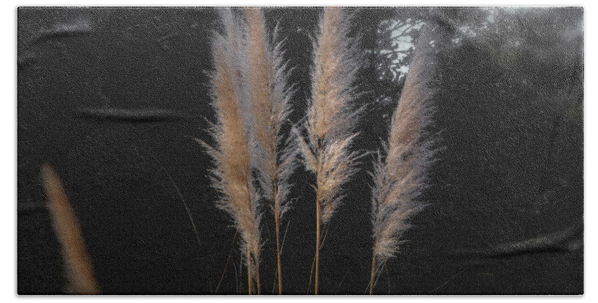 Grass Bath Towel featuring the photograph Blowing in the Wind by Judy Hall-Folde
