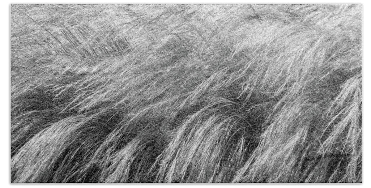 Grass Bath Towel featuring the photograph Blowing in the Wind by Mary Anne Delgado