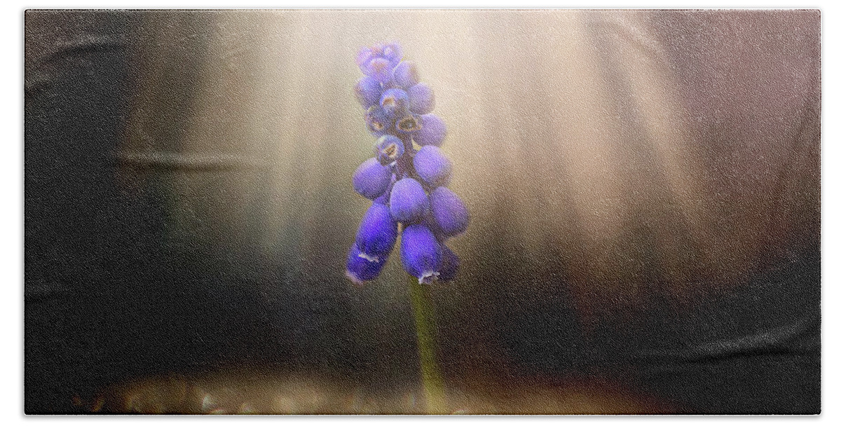 Blue Grape Hyacinth Print Bath Towel featuring the photograph Blue Grape Hyacinth Print by Gwen Gibson