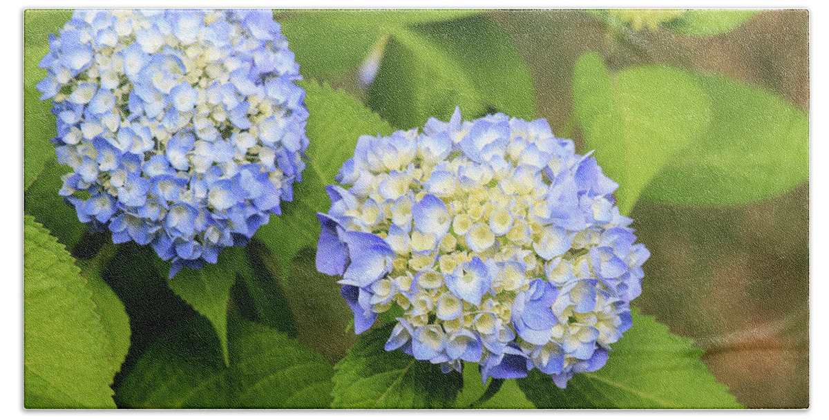 Colors Bath Towel featuring the photograph Blue Hydrangea Deux by Tanya Owens