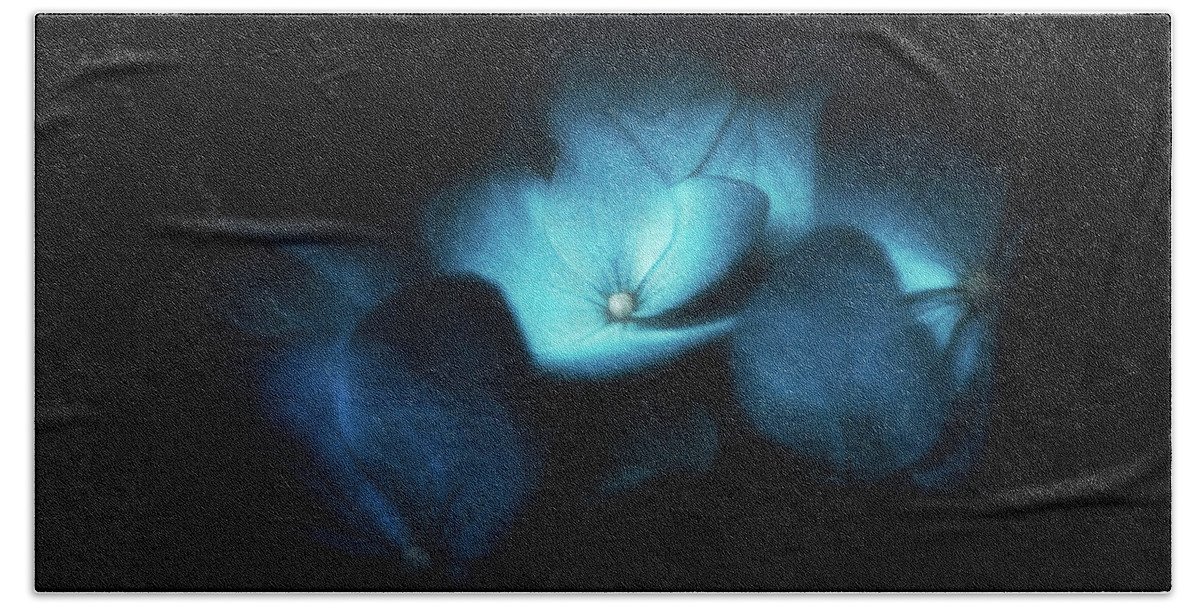 Hydrangeas Bath Towel featuring the photograph Blue hydrangeas by Philippe Sainte-Laudy