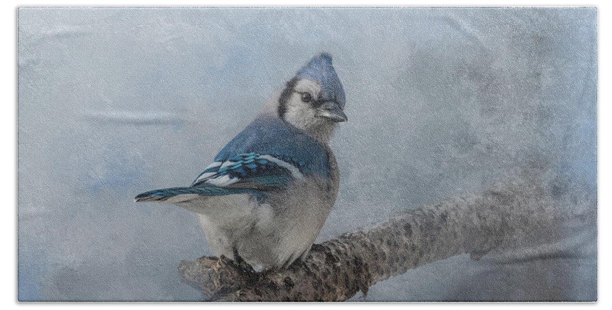 Songbird Hand Towel featuring the photograph Blue Jay Peek by Patti Deters