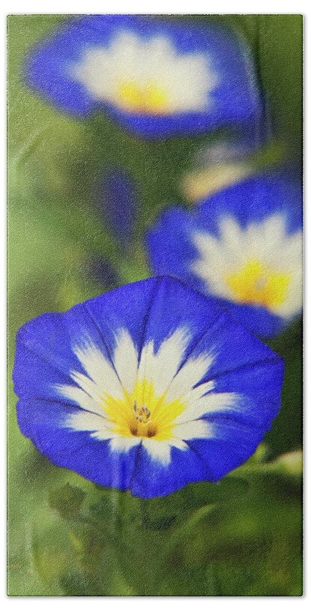 Flowers Bath Towel featuring the photograph Blue Morning Glory Flowers by Christina Rollo