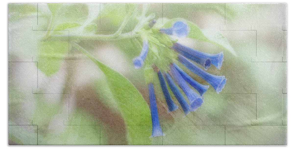 Blue Hand Towel featuring the photograph Blue Trumpet Flowers 2 by Elaine Teague