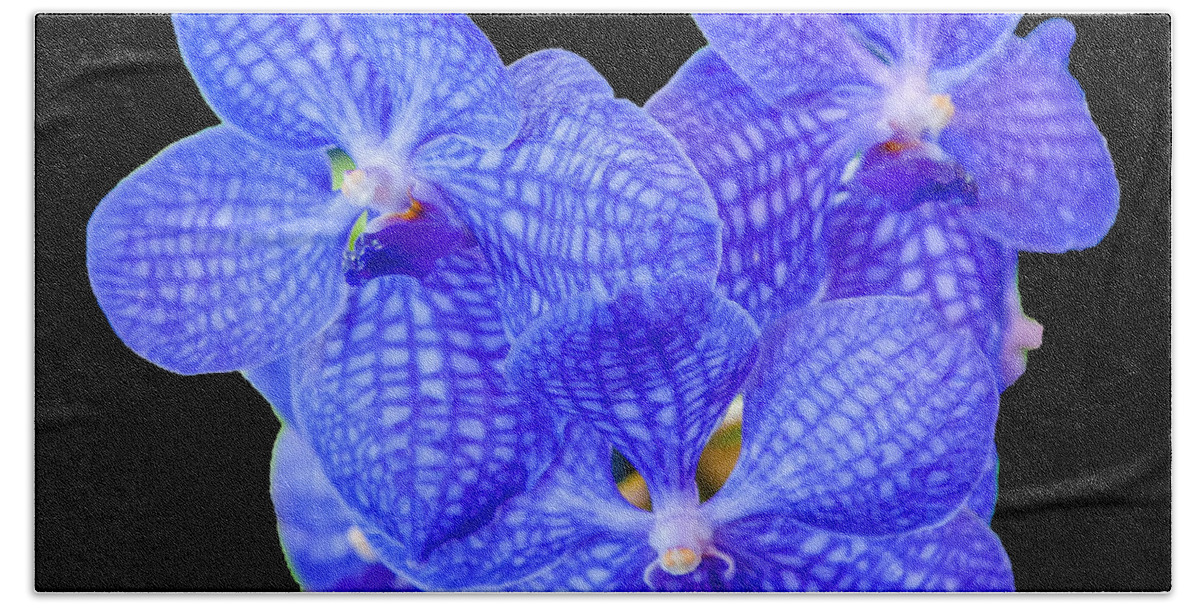 Blue Vanda Bath Towel featuring the photograph Blue Vanda Orchids, 1-22 by Glenn Franco Simmons