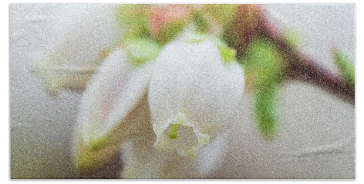 Flower Bath Sheet featuring the photograph Blueberry Blossoms by Kristia Adams