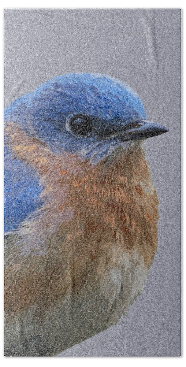 Bird Bath Towel featuring the painting Bluebird in 5 Colors by Judy Cuddehe