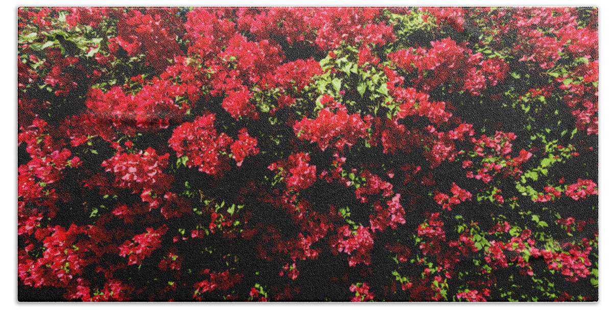 Bougainvillea Flowers Vines Hand Towel featuring the photograph Bougainvillea Palm Springs California 0453 by Amyn Nasser