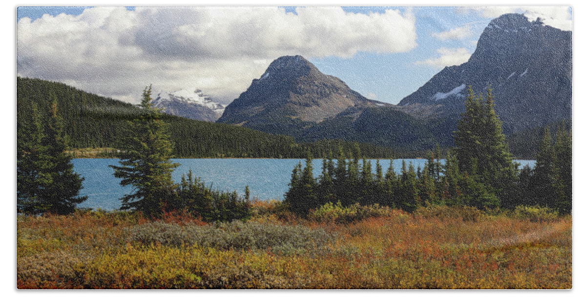 Autumn Colors In The Canadian Rockies Bath Towel featuring the photograph Bow Lake In Autumn Landscape by Dan Sproul
