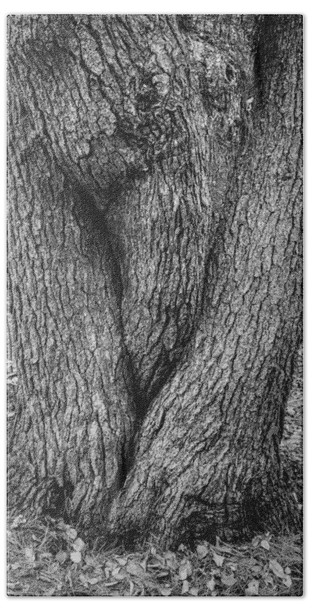 Black And White Bath Towel featuring the photograph Boyden XXII Tree Trunk BW by David Gordon
