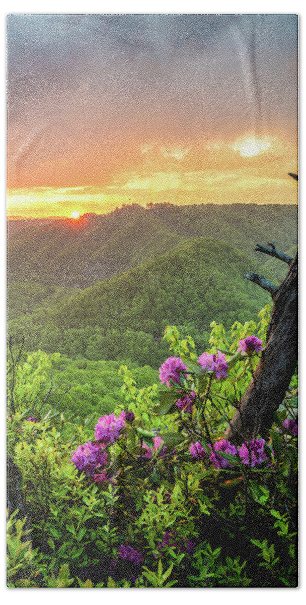 Sunset Hand Towel featuring the photograph Breaks Interstate Park KY VA Sunset Scenic Rhododendron by Robert Stephens