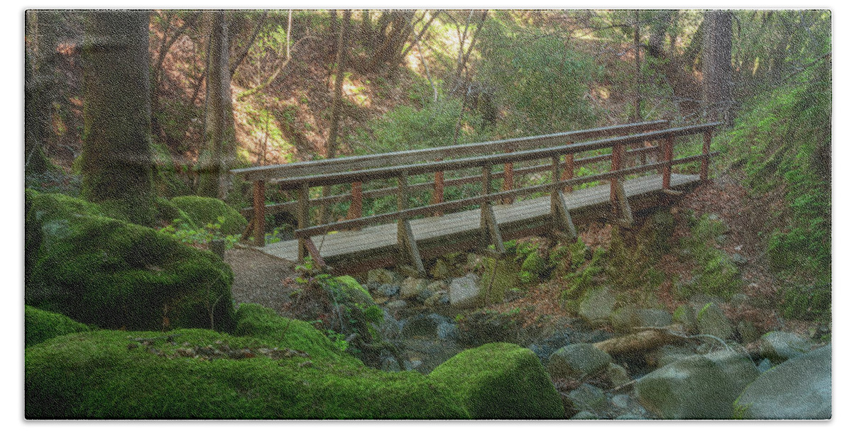 Color Bath Towel featuring the photograph Bridge in the Moss by Laura Macky