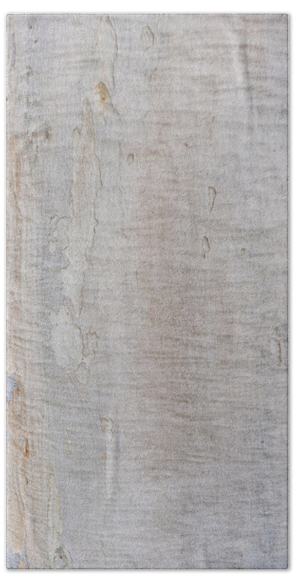 Australia Bath Towel featuring the photograph White Bark by Jay Heifetz