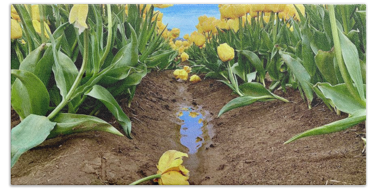 Yellow Bath Towel featuring the photograph Broken Tulip by Brian Eberly