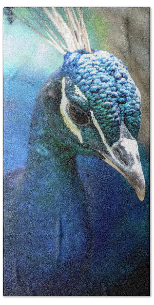 Bronx Zoo Bath Towel featuring the photograph Bronx Peacock by Kevin Suttlehan