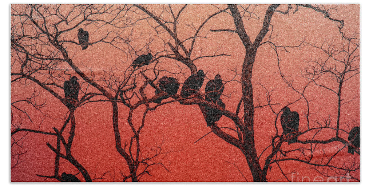 Silhouette Bath Towel featuring the photograph Brood of Turkey Vultures by Ed Taylor