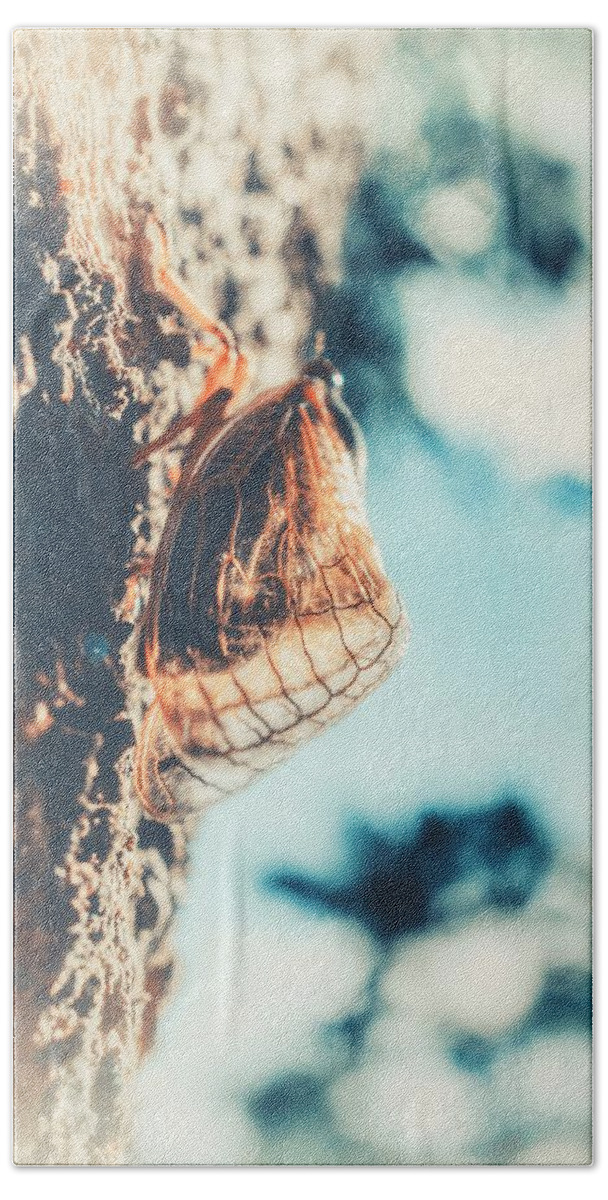 Brood X Bath Towel featuring the photograph Brood X Cicada 2021 - 17 year Periodical by Marianna Mills