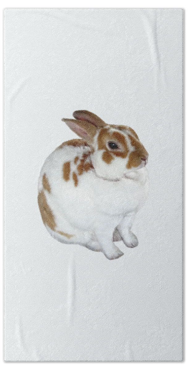 Animal Bath Towel featuring the photograph Brown and White Rex Rabbit by Susan Savad