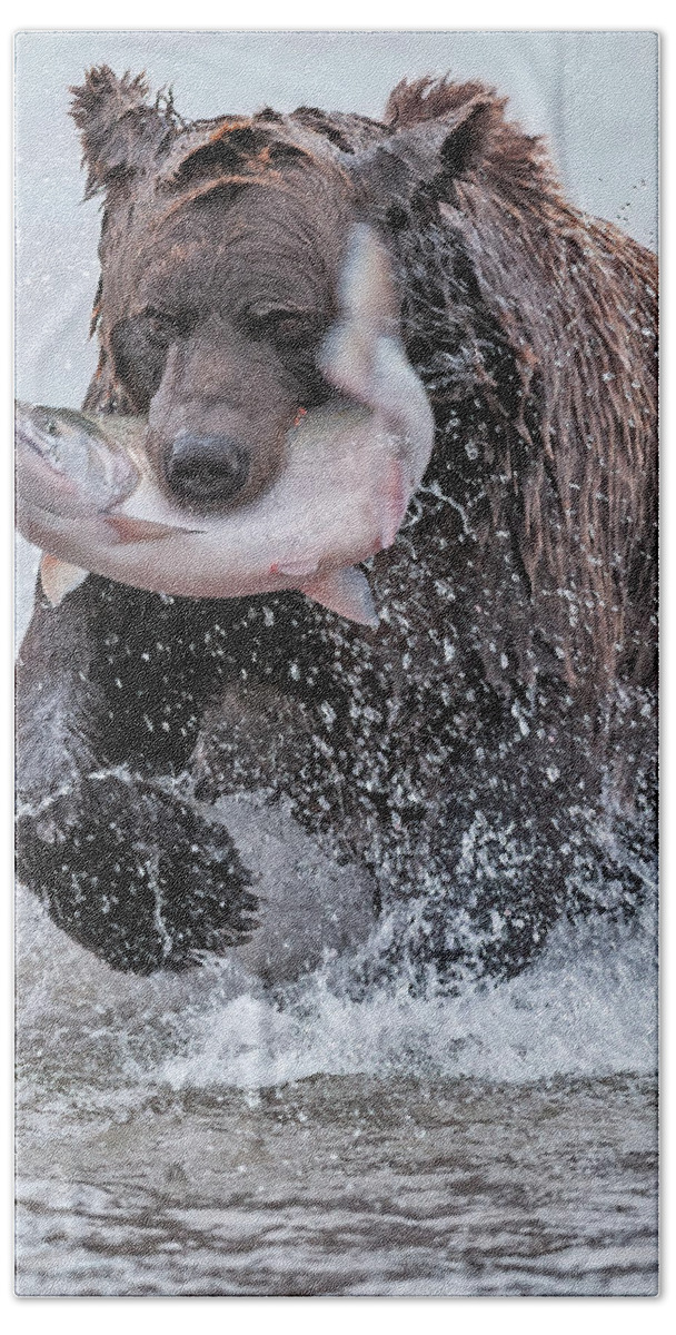 Wild Hand Towel featuring the photograph Brown Bear with Salmon catch by Gary Langley