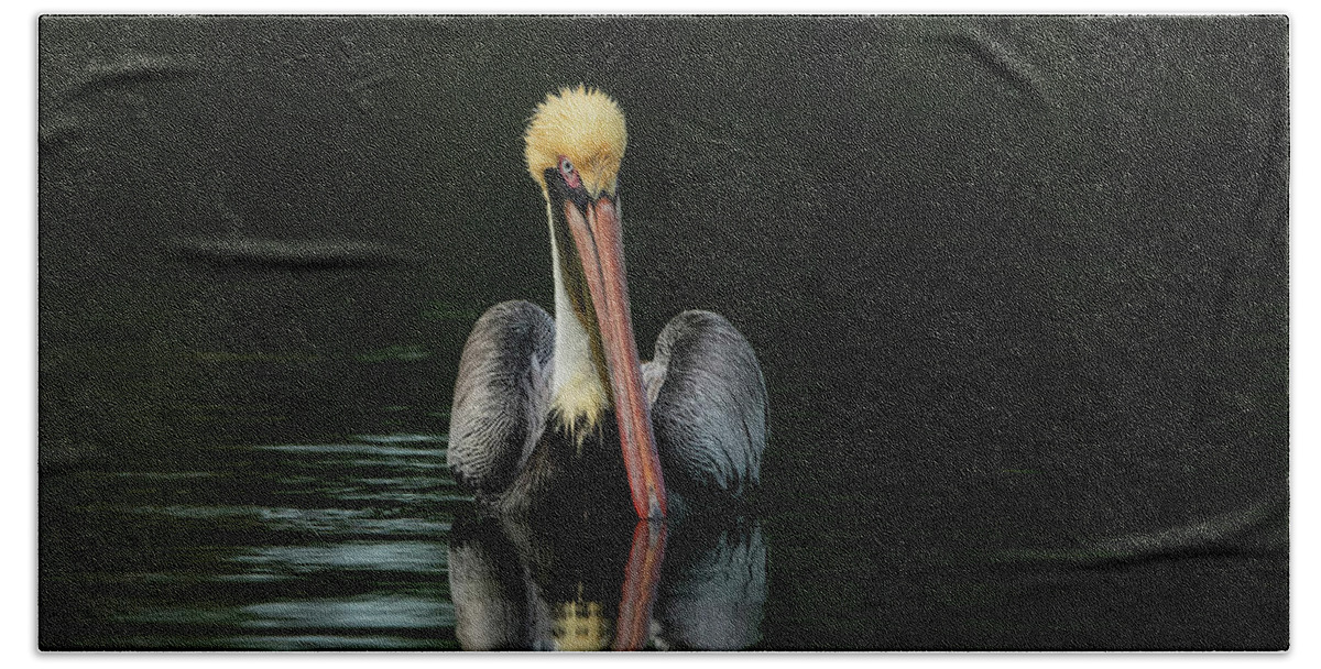 Brown Pelican Hand Towel featuring the photograph Brown Pelican by CR Courson